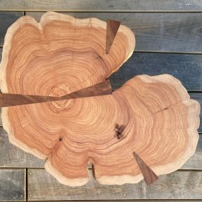2 Tetedebois createur Tranche de cuppressusL