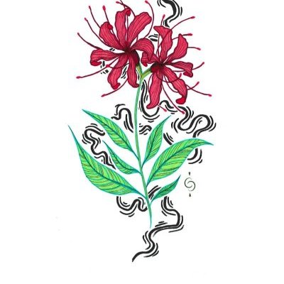 LYCORIS