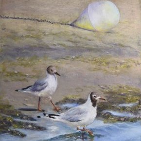 Sea side, mouettes rieuses