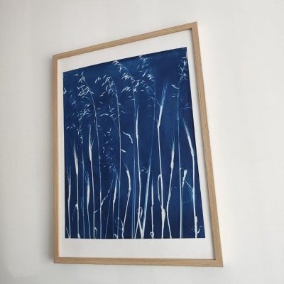 8 100 2026 brins dherbes lartelierdescuriosites atelier papier cyanotype (…)