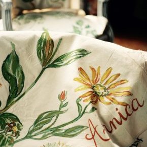 2 illustrationbotanique madeinnantes drapsanciens illustrationtextile (…)