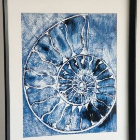 6 ammonite