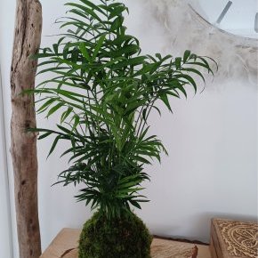 Adobe Scan 14 juin 2023 2 1