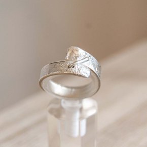 argent agrafe