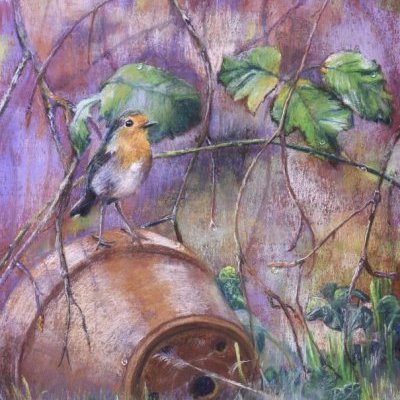 Roi du jardin, Rouge gorge