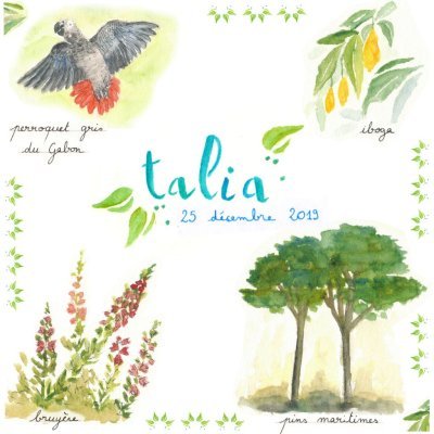 Recto TALIA