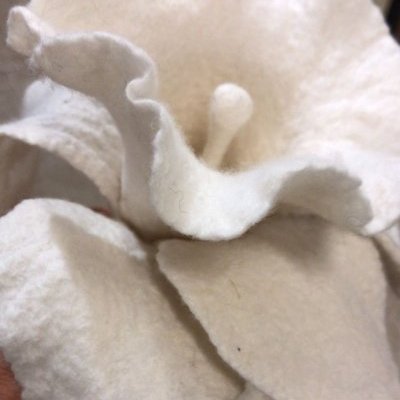 9 l atelier du cinq fleur