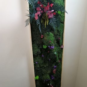 IMG20230226111909 ConvertImage