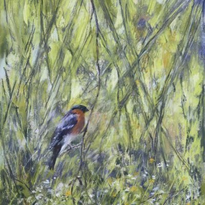 Dans le vent, Bouvreuil pivoine