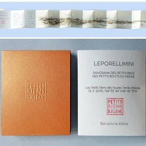 4 LEPORELLIMINI Islande