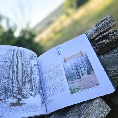 Patrimoine & Sauvegarde