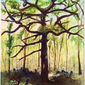 Aquarelle 30/42