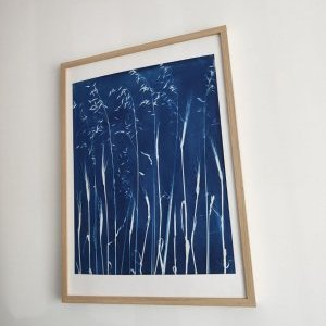 8 100 2026 brins dherbes lartelierdescuriosites atelier papier cyanotype (…)