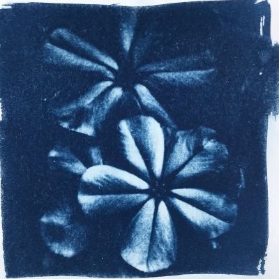 unnamed 13 2