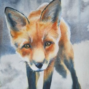 2 La curiosité est un vilain défaut Aquarelle Faustine