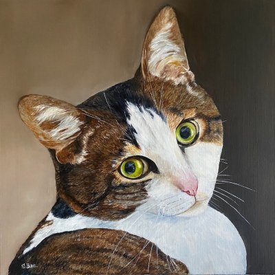 PORTRAIT du chat SALEM