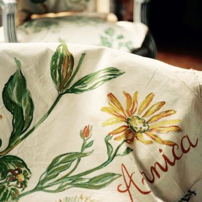 2 illustrationbotanique madeinnantes drapsanciens illustrationtextile (…)