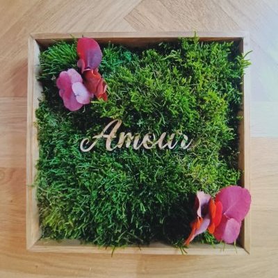 IMG 20231124 121757 ConvertImage