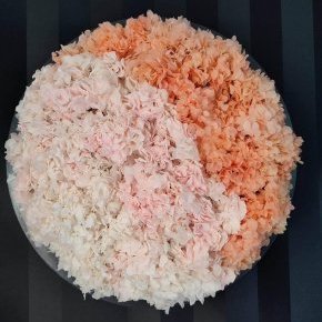 received 1259096988066658 ConvertImage