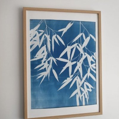 9 100 2026 bambou1 lartelierdescuriosites atelier papier cyanotype bleu (…)
