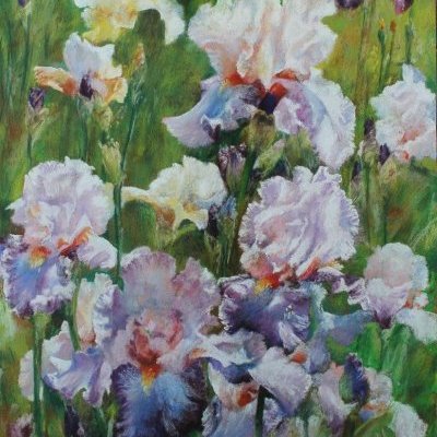 Iris roses et mauves CREALOUEST