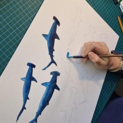 requin peinture ConvertImage ConvertImage