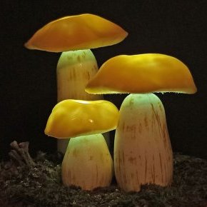 Ocre