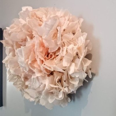 IMG20230903170426 ConvertImage