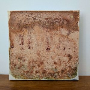 Terre de promesses : de sel et d'or 1/3