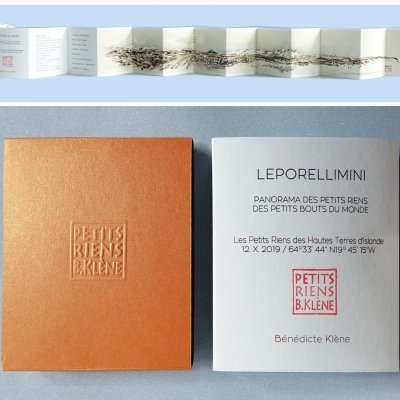 4 LEPORELLIMINI Islande