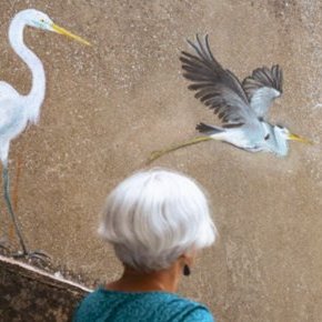 La vie révée des oiseaux