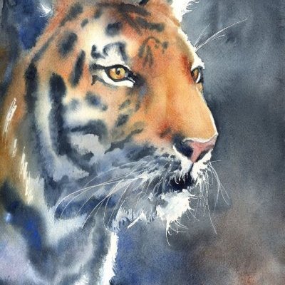 1 Oeil du Tigre Aquarelle Faustine