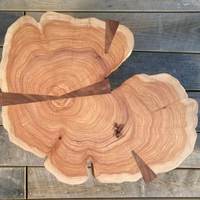 2 Tetedebois createur Tranche de cuppressusL