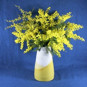 Vase vagues mimosa