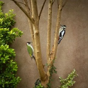 Claire Oiseau Mur Maison 20240816 52