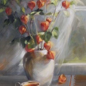 20 physalis2