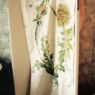 1 illustrationbotanique madeinnantes drapsanciens illustrationtextile (…)