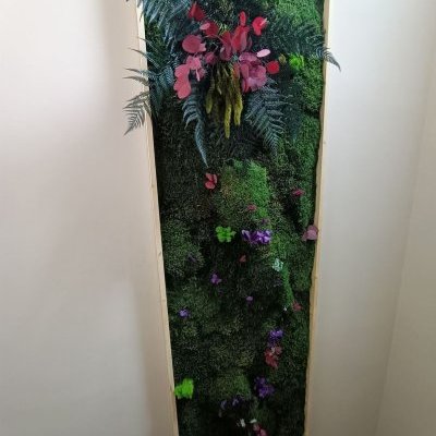 IMG20230226111909 ConvertImage