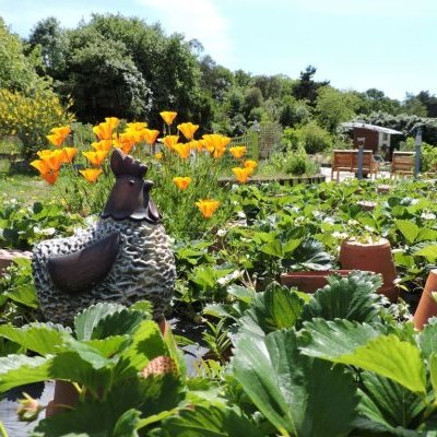 191224728 2192821790853222 1295679413172118694 n