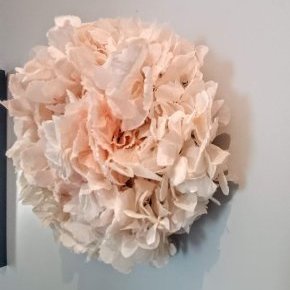 IMG20230903170426 ConvertImage