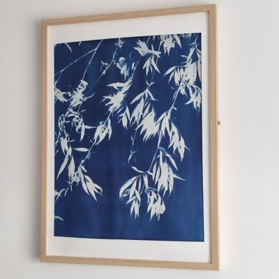 4 saule bouquet lartelierdescuriosites atelier papier cyanotype bleu enfant (…)