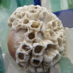 clapotis 008 2