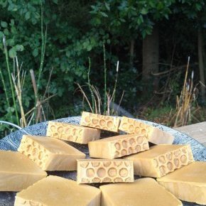 120808868 10223160975710918 6394436078487245694 o