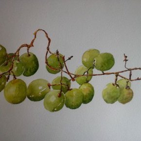 les raisins verts