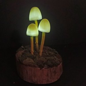 Psilus