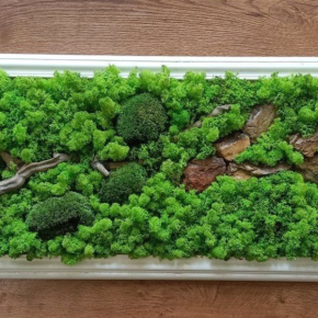 aurelie blanz gmail com 1