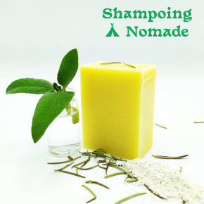 Shampoing 2 en 1 nomade