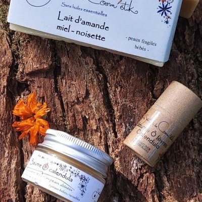 inspi automne