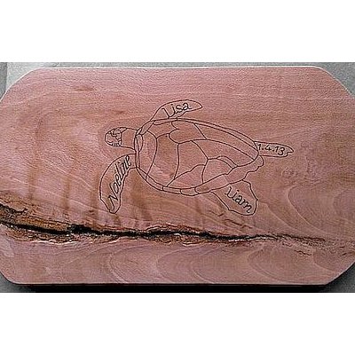 Tortue de coeur