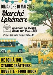 WhatsApp Image 2026 03 12 at 12 16 57